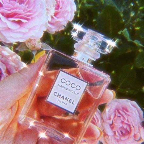 instagram coco chanel|Coco Chanel aesthetic picture.